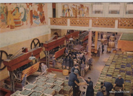 Delcampe - # S. VITTORIA D'ALBA: STABILIMENTO CINZANO - SALA VINIFICAZIONE ( Anni '50) - Cuneo