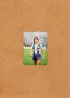 Delcampe - VP24.978 - PORTUGAL 1985 - Calendario - FC PORTO, Fernando GOMES, O Bota D'Ouro - Grand Format : 1981-90