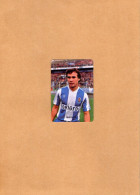 Delcampe - VP24.982 - PORTUGAL 1986 - Calendario - FC PORTO, Força Azul, MADJER - Grand Format : 1981-90