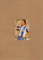 Delcampe - VP24.984 - PORTUGAL 1989 - Calendario - FC PORTO - Jaime MAGALHAES - Grand Format : 1981-90