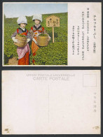 Delcampe - Japan Old Colour Postcard Mt Fuji Shizuoka Native Women Pluckers Plucking Tea 茶摘 - Altri & Non Classificati