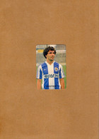 Delcampe - VP24.985 - PORTUGAL 1987 - Calendario Com Publicidade, Alcino DA SILVA SOARES - FC PORTO - Joao PINTO - Grand Format : 1981-90