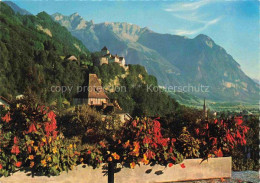 Delcampe - Vaduz Liechtenstein FL Schloss-Vaduz Rappenstein Falknis Blumenrabatte - Liechtenstein