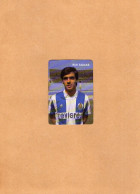 Delcampe - VP24.986 - PORTUGAL 1989 - Calendario - FC PORTO - Rui AGUAS - Grand Format : 1981-90