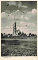 Delcampe - SCHLESWIG-CITY Holstein Dom Kirchturm Moewen Wiese - Schleswig