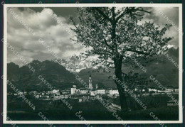 Delcampe - Belluno Città PIEGA Foto FG Cartolina KB3566 - Belluno