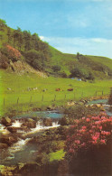 Delcampe - Uk5882 Doone Valley National Forest Exmoor Uk - Sonstige & Ohne Zuordnung