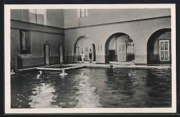 Delcampe - AK Schönebeck /Elbe, Erlen-Schwimmbad - Schönebeck (Elbe)