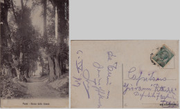 Delcampe - # TERNI: BOSCO DELLE GRAZIE   1917 - Terni