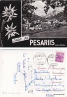 Delcampe - # PESARIIS: SALUTI DA   1961 - Udine