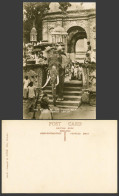 Delcampe - Ceylon Old Real Photo Postcard ELEPHANT Bearer Of Tooth Relic Kandy Temple Steps - Sri Lanka (Ceylon)