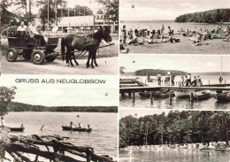 Delcampe - Neuglobsow Neu-Globsow Stechlin Brandenburg Stechlinsee Kutsche Pferd Ruderboote - Neuglobsow