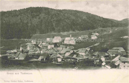 Delcampe - Todtmoos Schwarzwald BW Panorama - Todtmoos