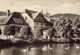 Delcampe - Ilsenburg Harz Sachsen-Anhalt Forellenteich Fachwerkhaus Schwaene Weide - Ilsenburg