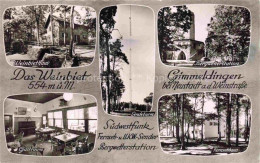 Delcampe - Gimmeldingen Neustadt Weinstrasse Rheinland-Pfalz Weinbiethaus Bergwetterstation - Neustadt (Weinstr.)