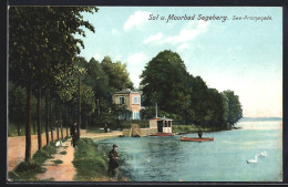 Delcampe - AK Bad Segeberg, See-Promenade - Bad Segeberg