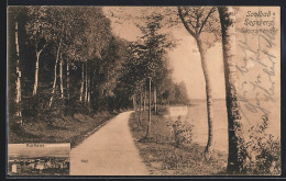 Delcampe - AK Segeberg, Seepromenade, Kurhaus - Bad Segeberg