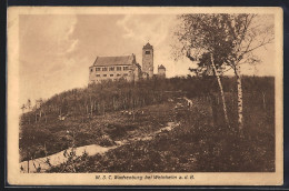 Delcampe - AK Weinheim A. D. B., WSC Wachenburg Mit Umgebung - Weinheim