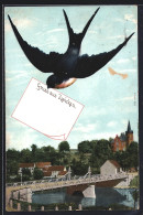 Delcampe - AK Zwickau, Brücke Mit Ort - Zwickau