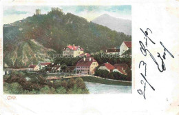 Delcampe - Cilli Celje Slovenia Burg Schlossberg Fluss Bruecke Ortsansicht - Slowenien