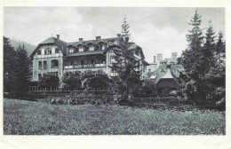 Delcampe - Bad Reinerz Niederschlesien Duszniki-Zdroj PL Park-Hotel Und Villa Hygiea - Polen