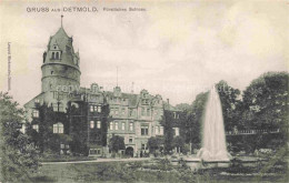 Delcampe - DETMOLD Lippe Fuerstliches Schloss Fontaine - Detmold