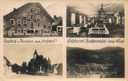 Delcampe - Bodenmais Regen Bayern Gasthof Pension Zum Hofwirt Gaststube Ortszentrum Panoram - Bodenmais