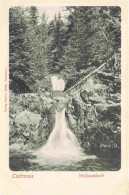 Delcampe - Todtmoos Schwarzwald BW Wolfsschlucht Im Schwarzwald - Todtmoos