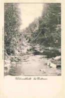 Delcampe - Todtmoos Schwarzwald BW Wehraschlucht Im Schwarzwald - Todtmoos