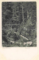 Delcampe - Todtmoos Schwarzwald BW Rappenloch Waldpartie Im Schwarzwald - Todtmoos
