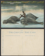 Delcampe - Ceylon Old Colour Postcard Elephants Lying In Water A Native Man Sit On Elephant - Sri Lanka (Ceylon)