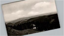 Delcampe - Feldberg Schwarzwald Naturfreundehaus Baldenwegerbruck - Feldberg