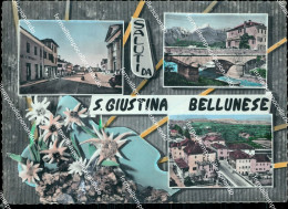 Delcampe - Ap496 Cartolina Saluti Da S.giustina Bellunese Provincia Di Belluno - Belluno