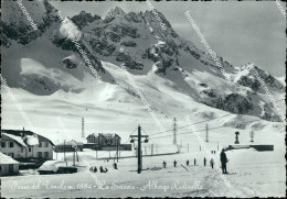 Delcampe - Ap506 Cartolina Passo Del Tonale La Sciovia Albergo Redivalle  Brescia - Imperia