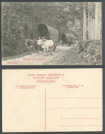 Delcampe - Ceylon Old Postcard Native Double Bullock Carts In Woods Forest Road Skeen Photo - Sri Lanka (Ceylon)
