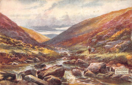 Delcampe - Uk26814 Tavy Cleave Dartmoor Uk - Sonstige & Ohne Zuordnung