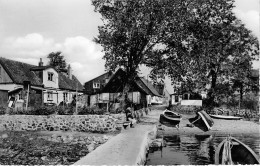 Delcampe - BG28458 Schleswig An Der Schlei Idyll Am Holm   Germany CPSM 14x9cm - Sonstige & Ohne Zuordnung