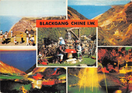 Delcampe - Uk45700 Blackgang Chine Isle Of Wight Uk - Sonstige & Ohne Zuordnung