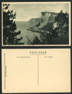 Delcampe - SEATON The White Cliff From The OLD BEER ROAD Devon Vintage Postcard Cliffs View - Sonstige & Ohne Zuordnung