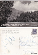 Delcampe - # CASE DI NAVA - HOTEL MANGIOJE- IMMEDIATA PINETA E PASSEGGIATA DELL'HOTEL  1960 - Imperia