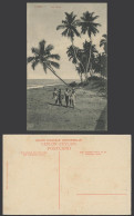Delcampe - Ceylon Old Postcard Sea Shore At Mount Lavinia Palm Trees Beach Colombo Plate Co - Sri Lanka (Ceylon)