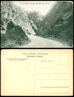 Delcampe - Azores Old Postcard In The Road To Furnas St. Michael's S. Miguel Mountains No.9 - Non Classés