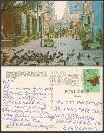 Delcampe - Curacao 35c Butterfly 1978 Postcard Heerenstraat Street Scene Punda Pigeon Birds - Curaçao