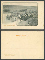 Delcampe - Chile Old U.B. Postcard India Lavandose La Cabeza Indian Woman Washing Hair Head - Chile