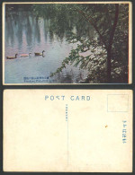 Delcampe - China Old Postcard Korakuen Korakueu Recreation Park Port Arthur Birds Duck Lake - China