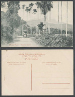 Delcampe - Ceylon Old Postcard Passara Road Badulla Palm Trees Street Scene Cart Mountains - Sri Lanka (Ceylon)