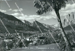 Delcampe - T753 Cartolina Cortina Col Rosa' Pomagagnon Provincia Di Belluno - Belluno