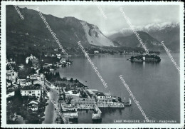 Delcampe - S703 Cartolina Lago Maggiore Stresa Panorama Provincia Di Verbania - Biella