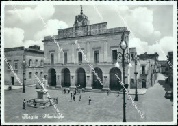 Delcampe - T785 Cartolina Maglie Municipio Provincia Di Lecce - Lecce
