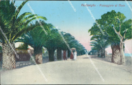 Delcampe - S692 Cartolina Ventimiglia Passeggiata Al Mare Provincia Di Imperia - Imperia